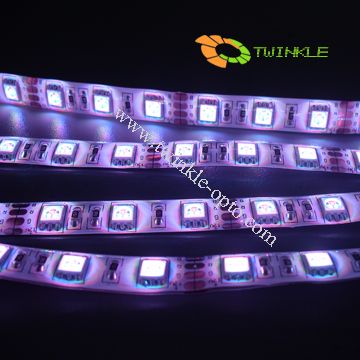 Led Flexible Strips, Led Holiday Light